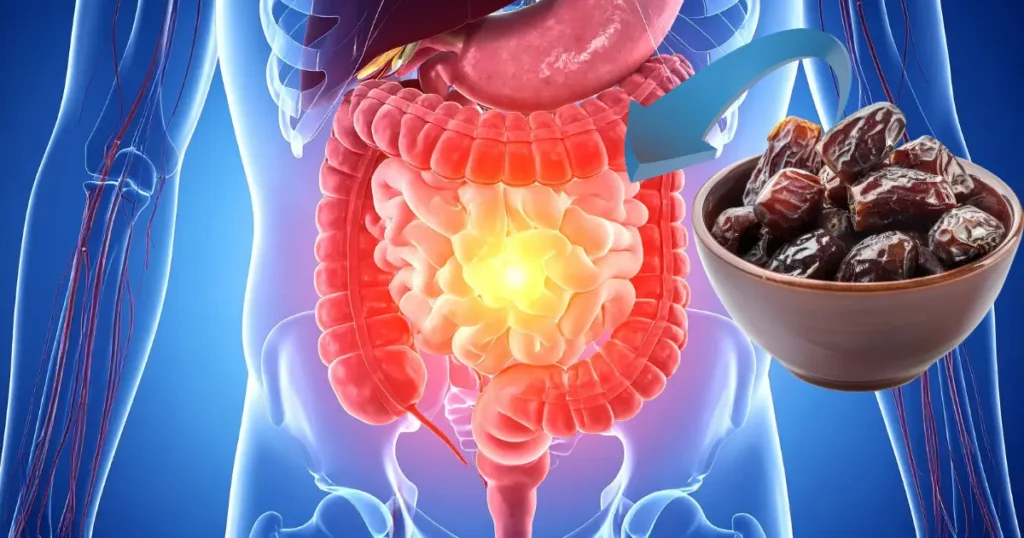 limpiar el intestino con dátiles